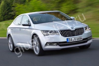 Купить глушитель, катализатор, пламегаситель Skoda Superb III в Москве